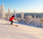 First tracks sun 1