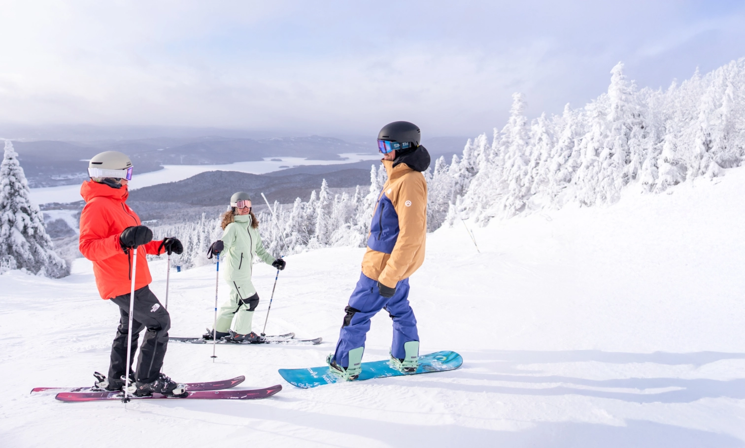 Renouvellement dink desktop