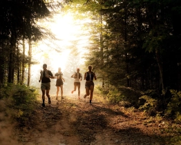 Borealys mont tremblant by utmb