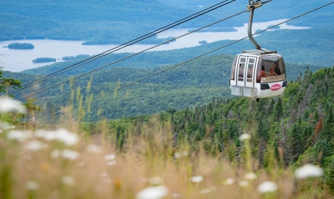 Multi activity bundle