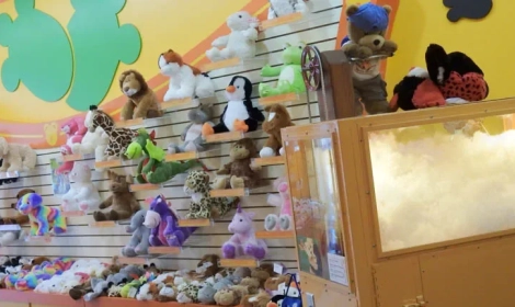 Univers toutou int m