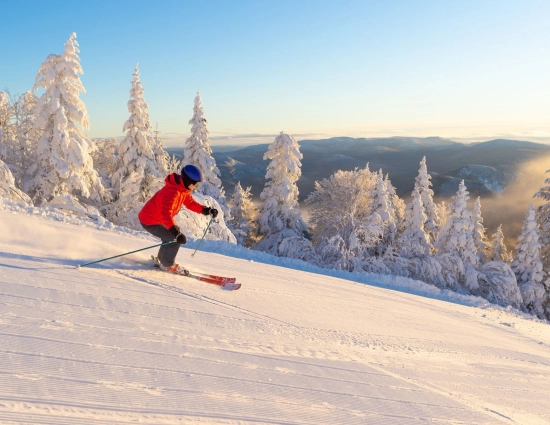 First tracks sun 1