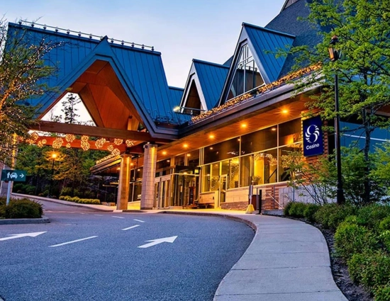 Activite casino ymtdpr