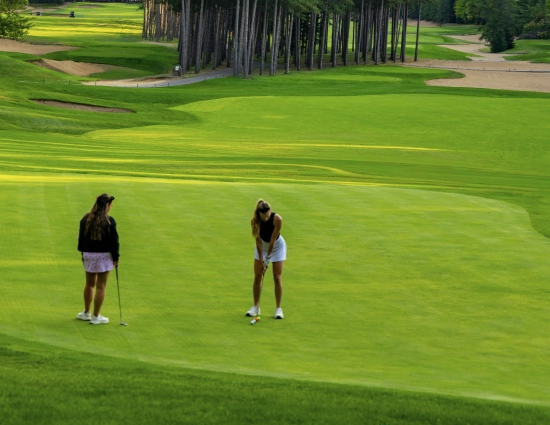 Screenshot 2026 04 01 at 3 34 11 PM