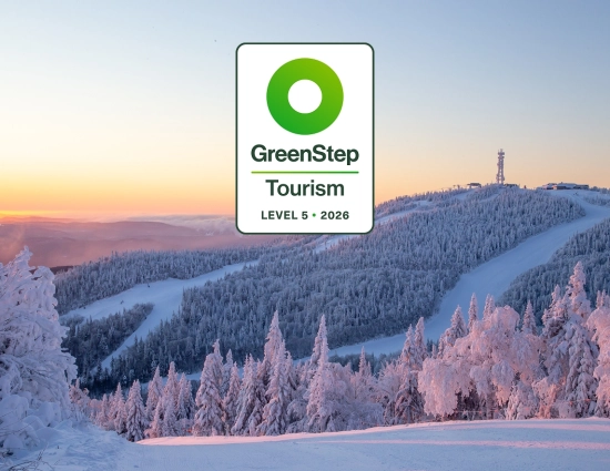 Green step image en