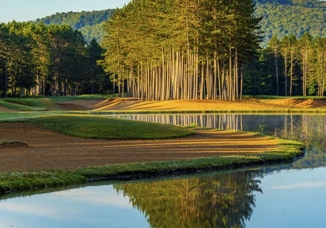 Screenshot 2026 04 01 at 3 37 19 PM