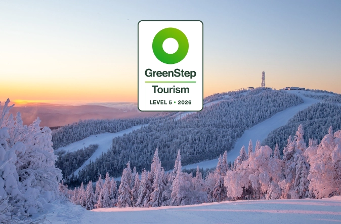 Green step image en