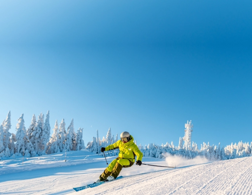 Ski lanch 2627 mobile