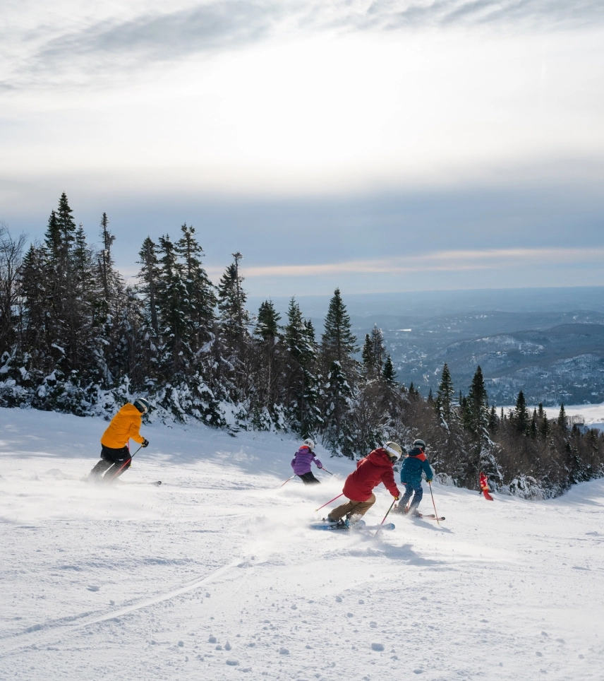 Hero flash janvier 2026 mobile