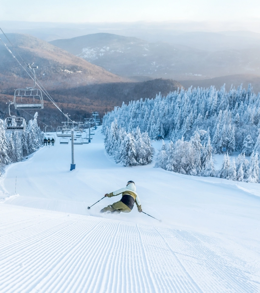 Renouvellement dink 2526 mobile